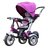 Little Nation Push Trike