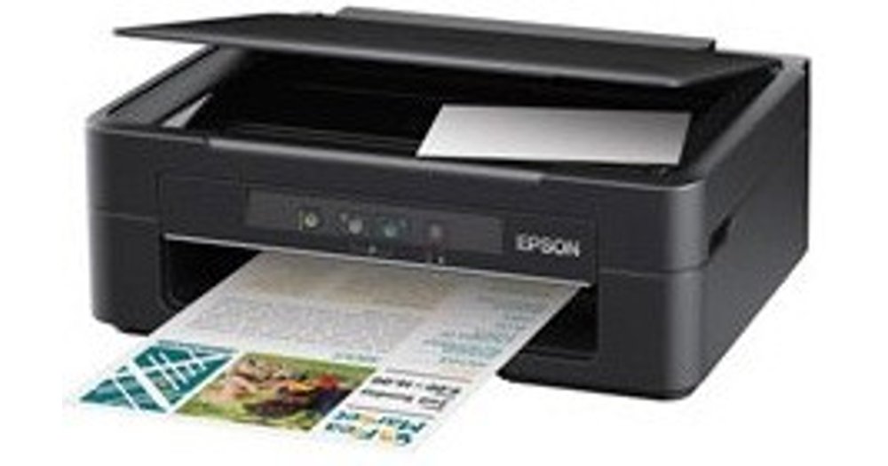 Install epson xp 800 printer