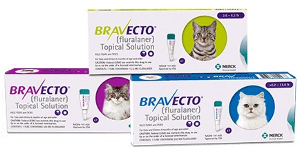 Bravecto for Cats Reviews