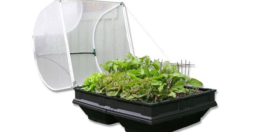 Vegepod Raised Garden Bed Kits Reviews - ProductReview.com.au